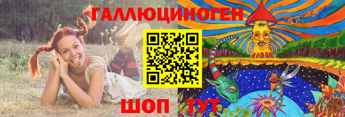 Галлюциногенные грибы Psilocybe Электросталь